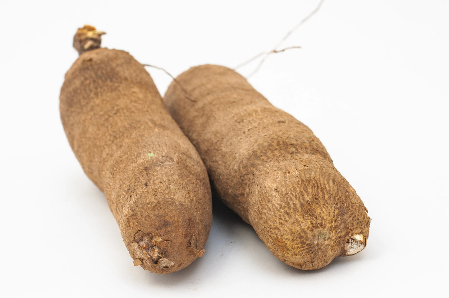 African Yam